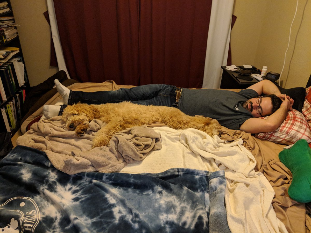 fluffyaddie's tweet photo. Totally sleeping here tonight. #donttellmomanddad #whattheydontknowwonthurthem #somuchroomforcuddlesandplaytime https://t.co/eARM7fTcRI