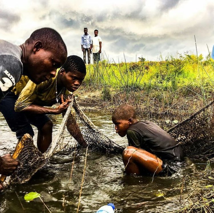 China with it population is making $14.1b from Fish alone .The worldwide market for Coconut Oil is expected to grow at a CAGR of roughly 4.5% over the next five years.This are facts our gov can’t argue with me And Badagry is Home to all Why do we love to be poor Nigeria!?!