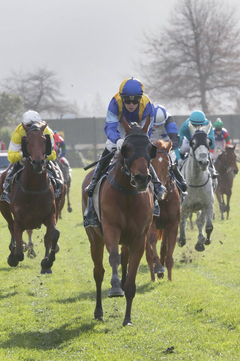 CurraghmoreNZ's tweet photo. Congratulations to the Baker/@ForsmanAndrew team who produced our @KarakaChat graduate #Rodrico for a strong win in today's Taumarunui Gold Cup at Rotorua https://t.co/GnTeooxIJ6 https://t.co/ogjGQRepbT