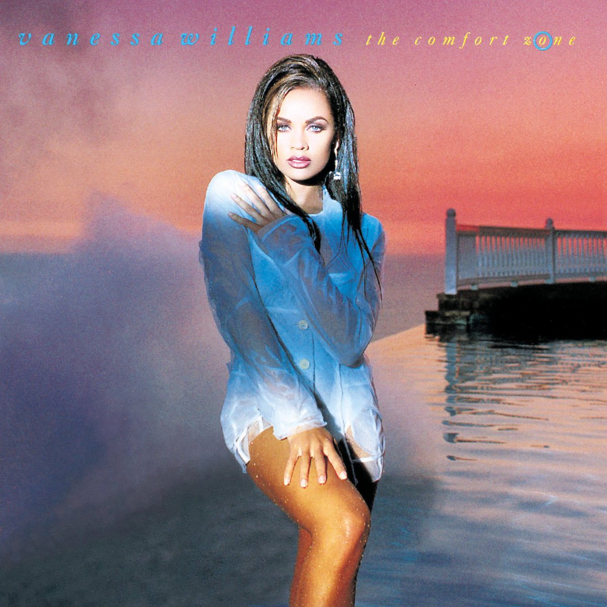 The '90s decade saw Vanessa achieve even more success as a singer. In 1991, she released her sophomore album, 'The Comfort Zone'. It would go on to become the biggest selling album of her musical career as it since been certified 3x platinum in the US.