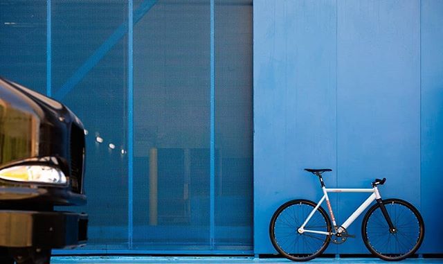 single_speed's tweet photo. Keep it neat. 🔥
.
.
.
#fixedgear #critlife #singlespeed #statebicycle #statebicycleco #fixedporn #fixiegram #fixieporn #fixedgearbike #bikeporn https://t.co/XzMlBoxDYu https://t.co/HAjCVSekbs