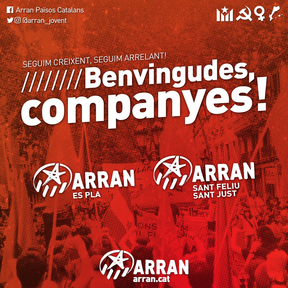 Arran tweet media