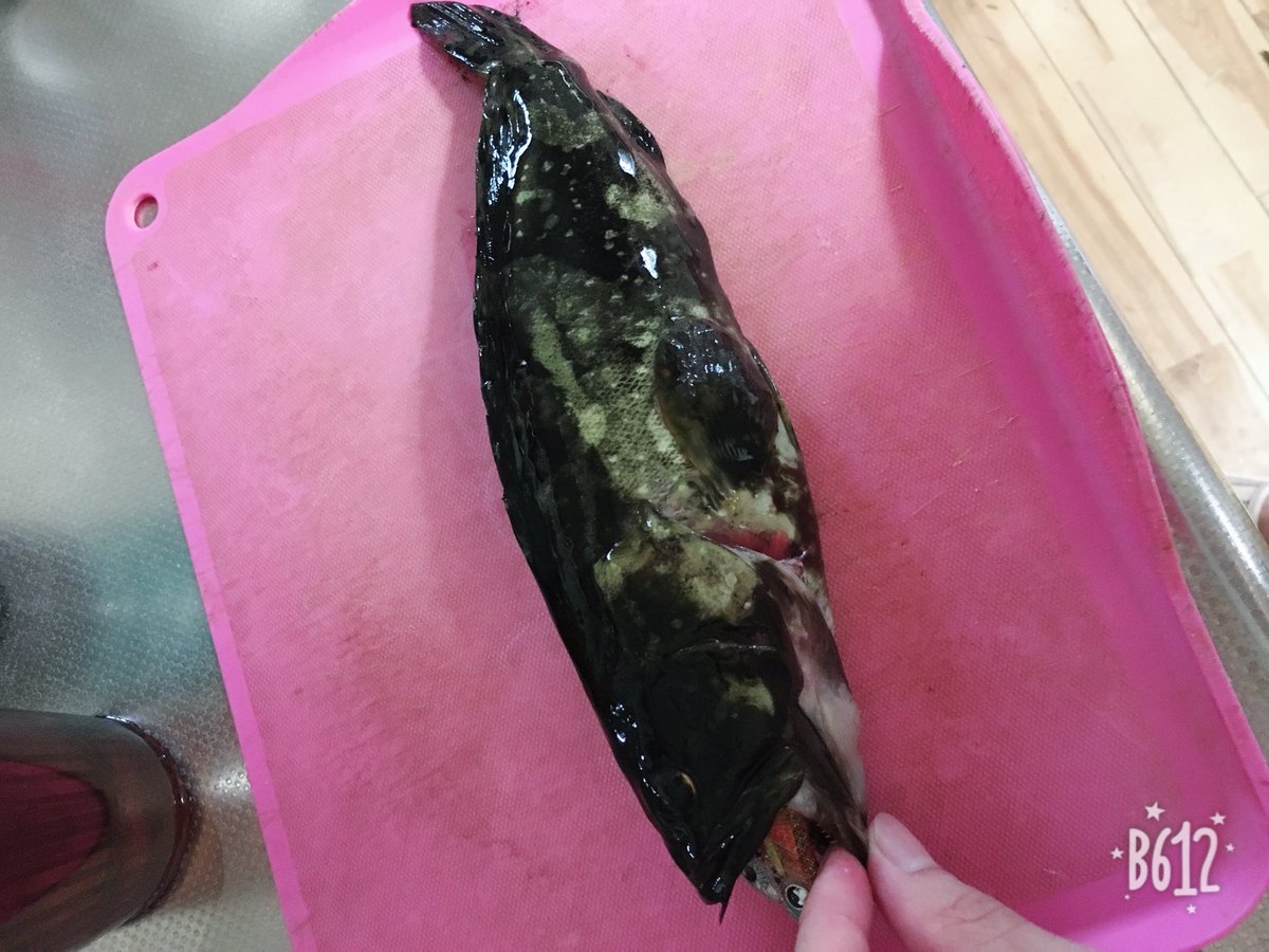 UVERfishing's tweet photo. 正式名称しりたい https://t.co/wMtTPPIYBA