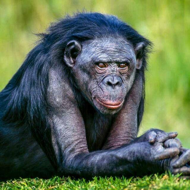 LERATOMATHIBEL4's tweet photo. @Thabs_Thomas @minkyramz Ahhhh blacks instead of ordering dae be asking we're u live u olready said u from vaal mos#g luck bafetho n ol da bst https://t.co/VuHcWOy7B3