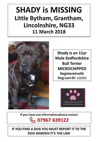 MissingPetsGB's tweet photo. 🐕 SHADY ALMOST 2 YEARS AGO SHADY WAS STOLEN FROM HIS OWN GARDEN
He is a black Staffordshire Bull Terrier #Missing from Little Bytham, #Grantham #NG33
Shady is 11 years old &amp; would be more grey by now
Shady has a distinctive bump by his left eye. https://t.co/DvRlrVYPR0
