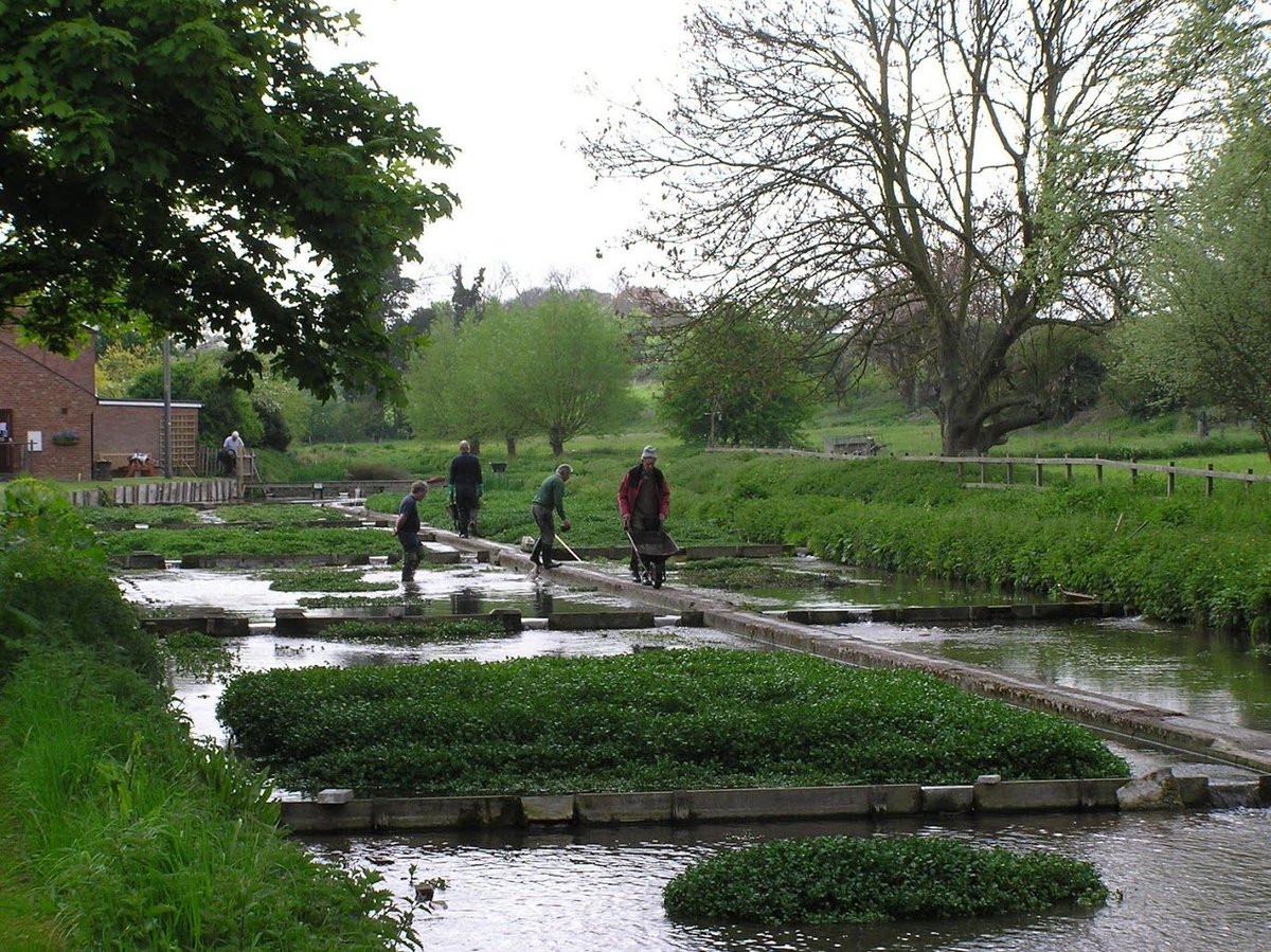 henleypractice's tweet image. If you love the outdoors a Green Gym is a great way to help the community and get some exercise! Our nearest is Sonning Common, but they have plenty of sites near to Henley, have a look here for more info buff.ly/2Obc1Rm #greengym #henley #exerciseoutside #lovelocal