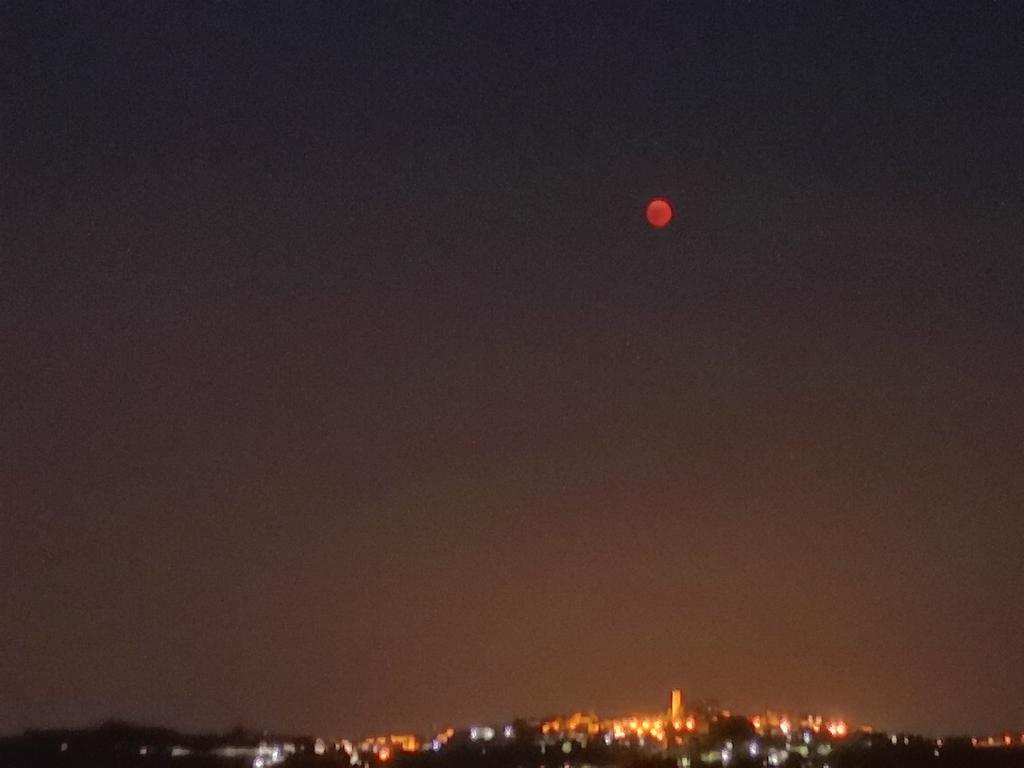 simona_marti's tweet photo. Quando il Monferrato è meglio di New York https://t.co/1CMv9ZktPR
