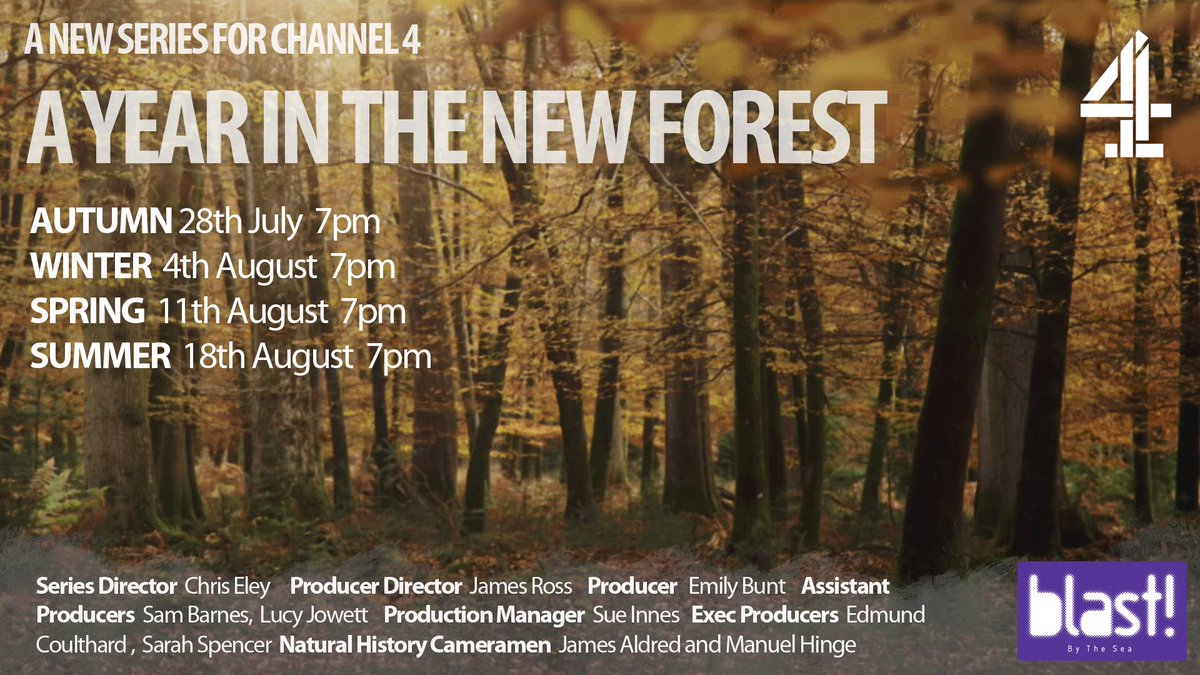 James Aldred tweet media