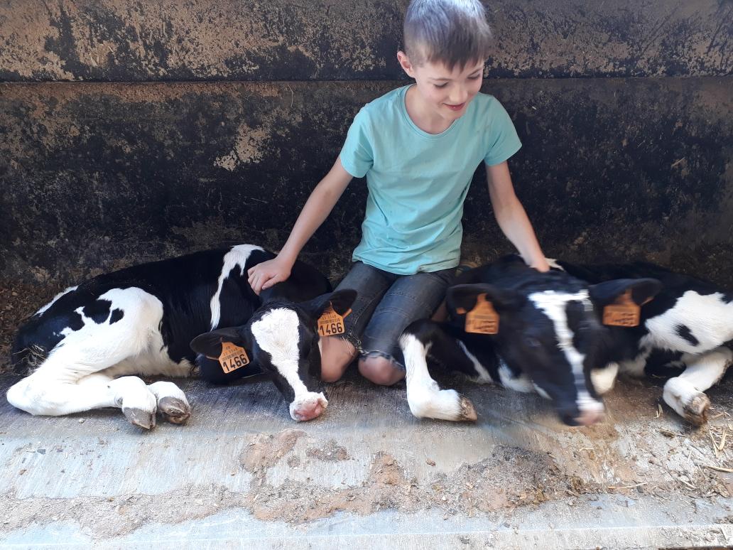 philippe_jehan's tweet photo. Recherche salarié en élevage laitier à temps plein ayant la responsabilité d un troupeau de 110 Vaches prim holstein et sa suite . Exploitation diversifiée avec volailles LABEL .Poste libre de suite . Faire RT Merci @fdsea53 @JEUNESAGRI53 @AnefaMayenne @EmploiAgri @CfppaLaval https://t.co/uLj26rKE4z