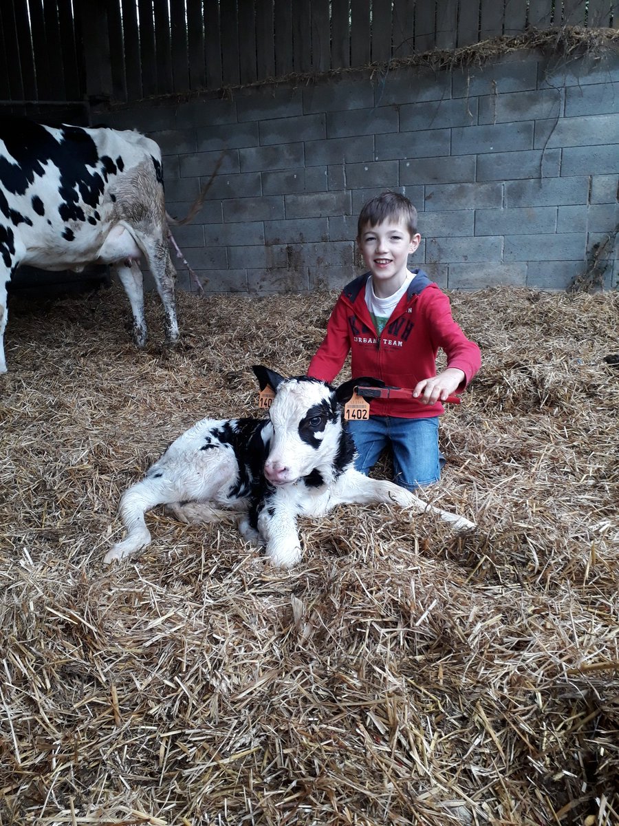philippe_jehan's tweet photo. Recherche salarié en élevage laitier à temps plein ayant la responsabilité d un troupeau de 110 Vaches prim holstein et sa suite . Exploitation diversifiée avec volailles LABEL .Poste libre de suite . Faire RT Merci @fdsea53 @JEUNESAGRI53 @AnefaMayenne @EmploiAgri @CfppaLaval https://t.co/uLj26rKE4z