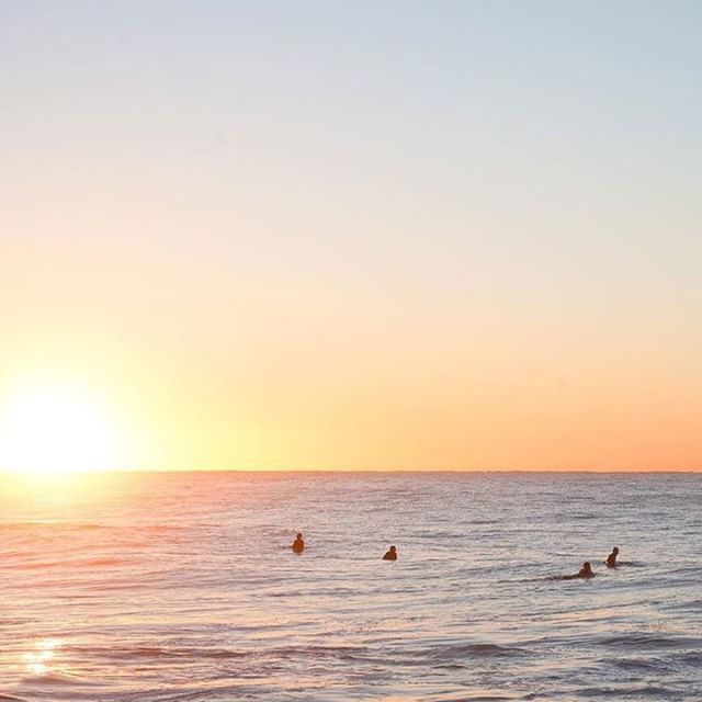 UltimateTraveI's tweet photo. Hands up if you want to wake up to views like this every day 🙌 #pickme #lifedownunder •
•
•
•
•
📷 Beautiful shot captured by local Sydney Northern Beaches photographer @freshie.films
#ultimatesydney #ultimateoz #seeaustralia #australia #downunder… https://t.co/66zCtZcA0m https://t.co/WZI7IdzGr9