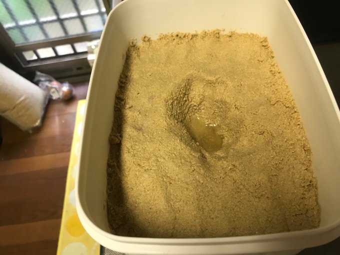 ぬか床にカビが生えたらもうダメ 表面が白いのは大丈夫 対処法は お食事ウェブマガジン グルメノート