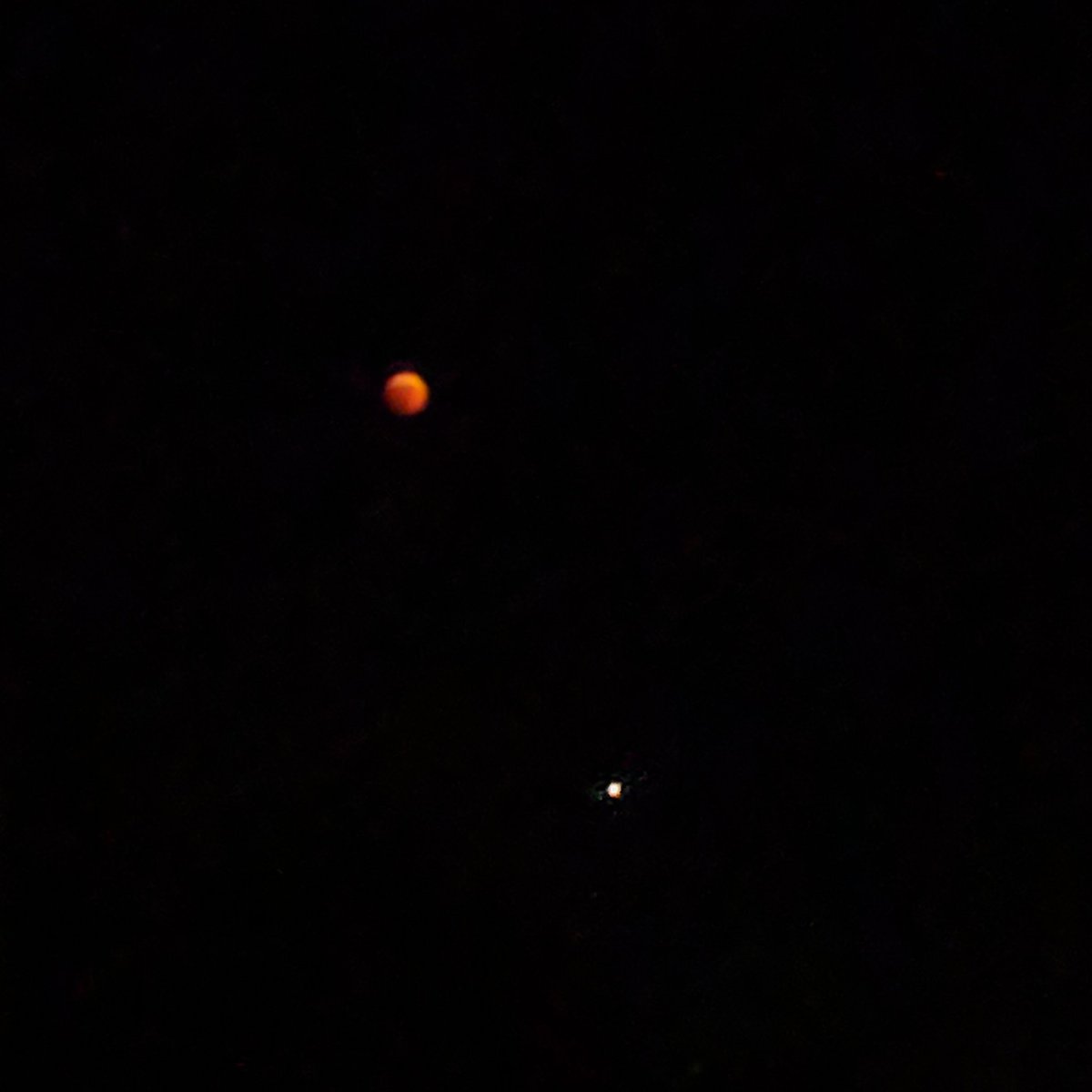 #BloodMoon and #Mars over #Puglia last night