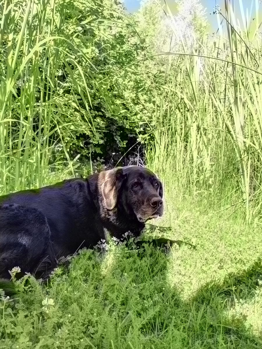 @JohnMarHut We just colourised your image in 9.8 seconds. Find out how: goo.gl/cSK4Xu