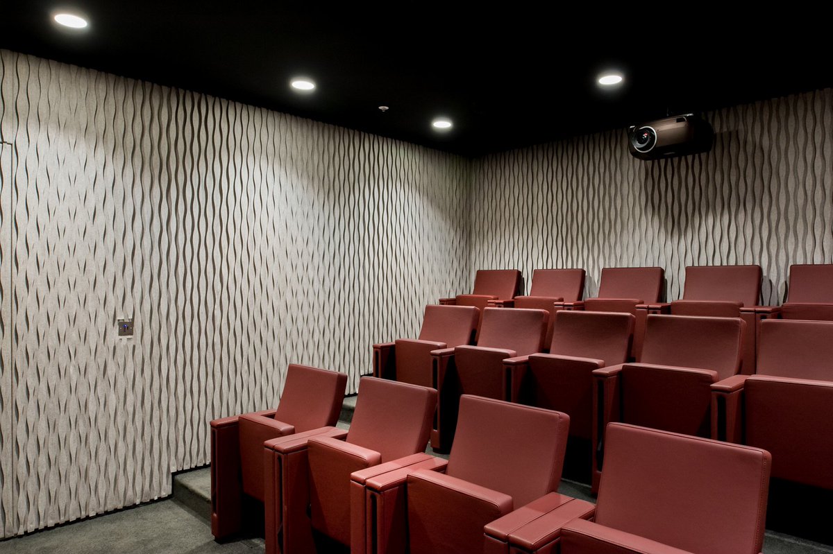 Bringing art and function to cinema rooms with our three dimensional textile acoustic wall coverings. Pleat design. #Acoustics #wallcovering #wallart #textiles