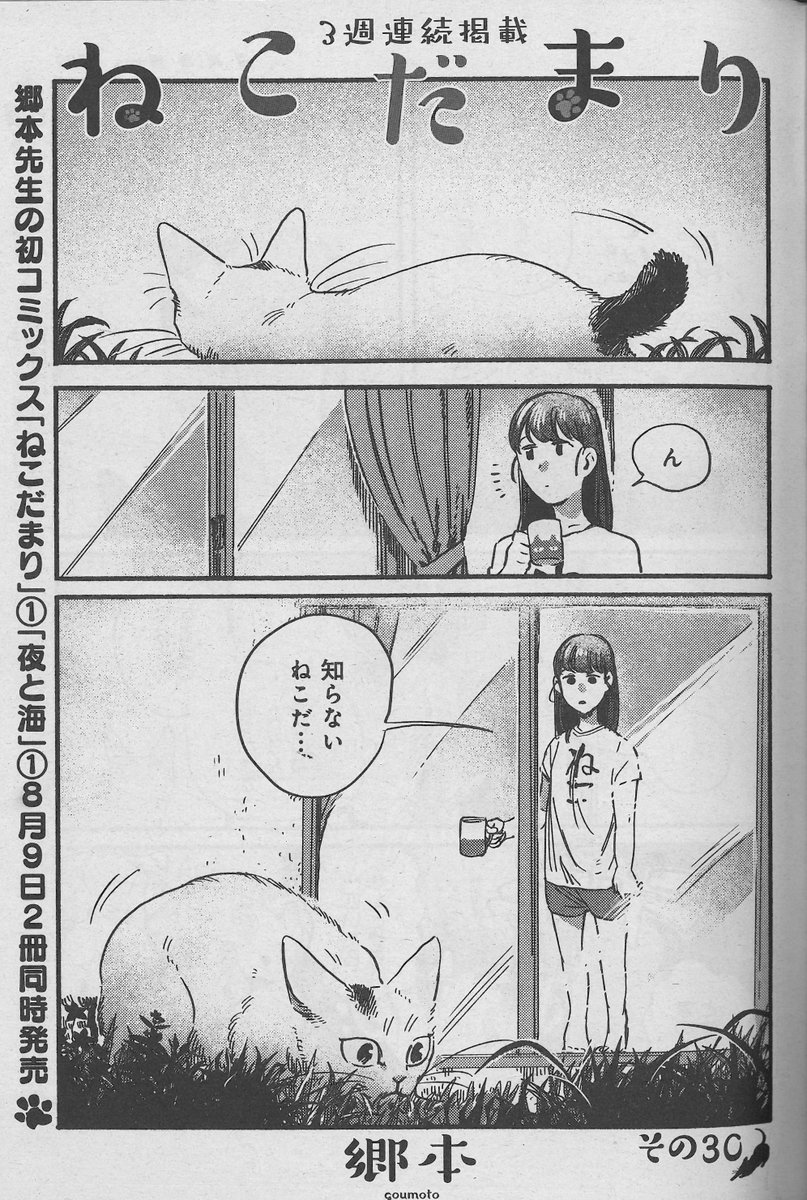 週刊漫画times 公式 週漫8 10号は絶賛発売中 コミックス第1巻8 9発売 ねこだまり 郷本 は 猫 たちが暮らす家の庭にやって来たのは いつものボスとは違う猫で 週刊漫画times 公式 週漫8 10号は絶賛発売中 コミックス第1巻8 9発売 ねこだまり 郷本 は 猫 たちが暮らす家の庭にやって来たのは いつものボスとは違う猫で