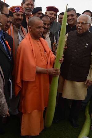 ChaaaChaaaJi's tweet image. #DILDOmodiko