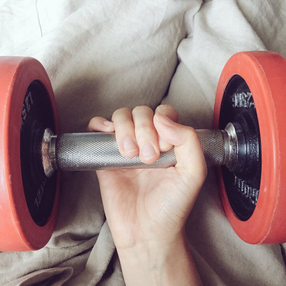 ダンベル軍曹を家の中で持ち歩いてたら そんなに軽々持てるならもっと重いのに変えた ぱんこさめのイラスト