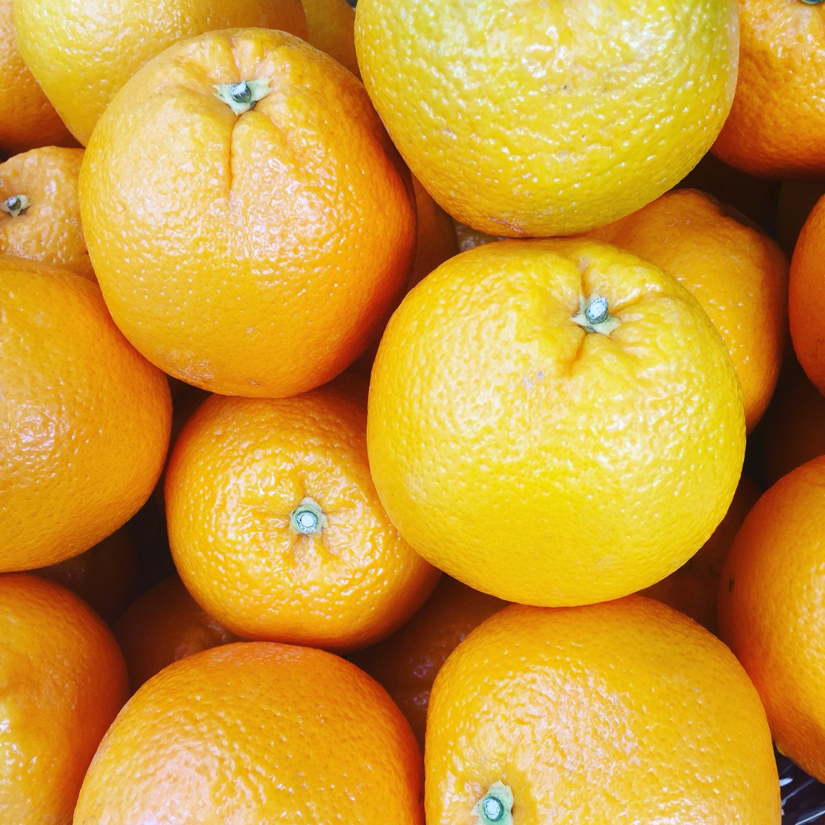 South African orange 🍊 navels!  (Oranges di leonardo) expertly displayed by young leonardo! Sweet and juicy! #tonyscontinental #eastfinchley #n2 #tonysn2 #southafrica #southafricanoranges #orangenavel