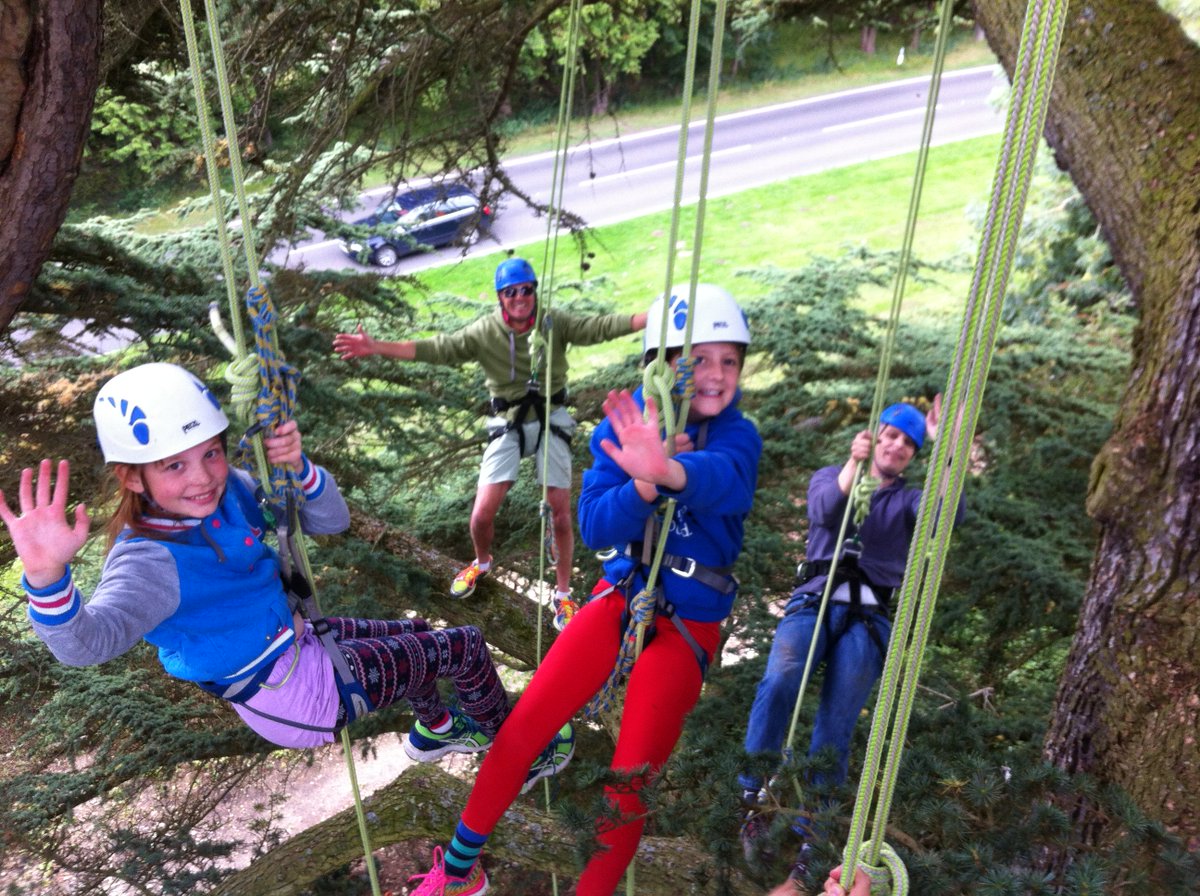 Climb to the heights of a fabulous horse chestnut tree at this historic and intriguing property @HughendenNT nr High Wycombe book @ bigtreeclimbing.co.uk #familyfunday @nationaltrust