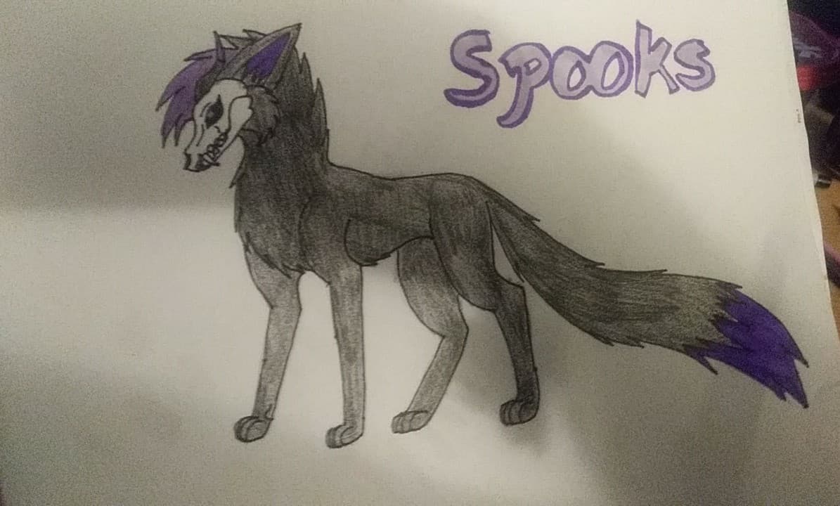 Spookstheskullwolf On Twitter Looking For A Fursuit Maker