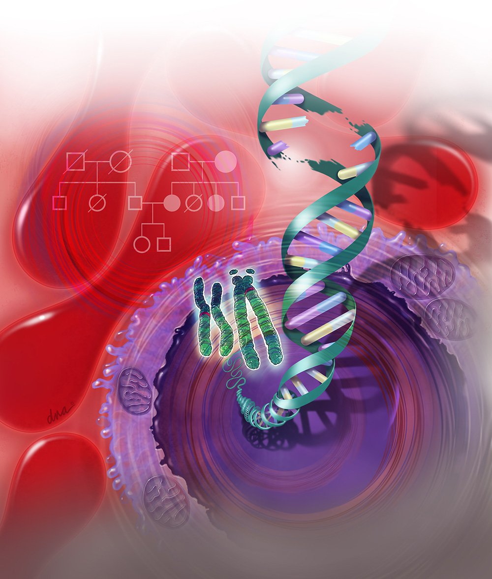 _illustrationX's tweet photo. #GeneticTesting : #AlexBaker @DNAillustration produces a compelling medical illustration for @ContempOBGYN #editorial #digital #futuristic #magazine #cover #medical #abstract #illustration #genetics #testing #womenshealth #oncology #cancer https://t.co/cN83frpm5h https://t.co/xkmWKd1siI