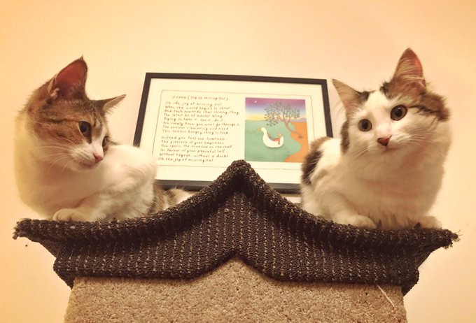 Saturday night and they&rsquo;re in their spots. Don&rsquo;t believe me?Just watch&hellip; https://t.co/zEFCpE5p3Q<a href="/tag/appleevent"class="tags"><span>#appleevent</span></a><a href="/tag/iphone11"class="tags"><span>#iphone11</span></a>