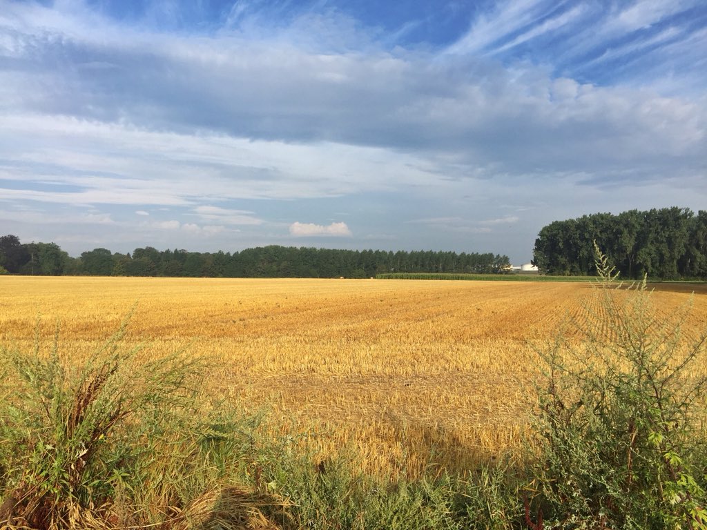 edgie06101981's tweet image. Normal de trouver une paire de chaussures lors de mon ramassage de ce week-end. Pas mal de canettes et d’emballages plastique.  #walloniepluspropre #1PieceOfRubbish #trashgo #aeraquaterra #naturepropre #ramassagecitoyen