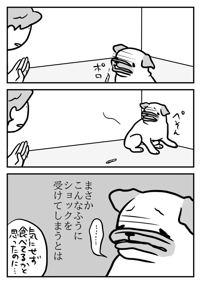 犬だって繊細な心を持っている？　ある日間違いをしてしまった飼い犬の反応がコチラ