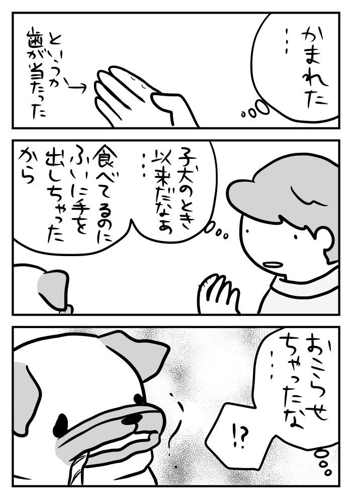 犬だって繊細な心を持っている？　ある日間違いをしてしまった飼い犬の反応がコチラ