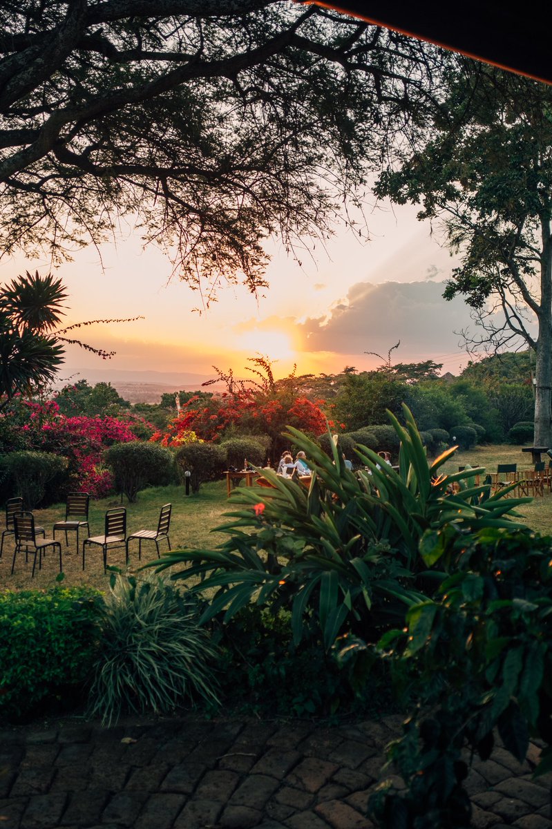 Beautiful views from Utengule Coffee Lodge in Mbeya, Tanzania. #mbeya #tanzania #travel #digitalnomad #africa #sunset #africansunset