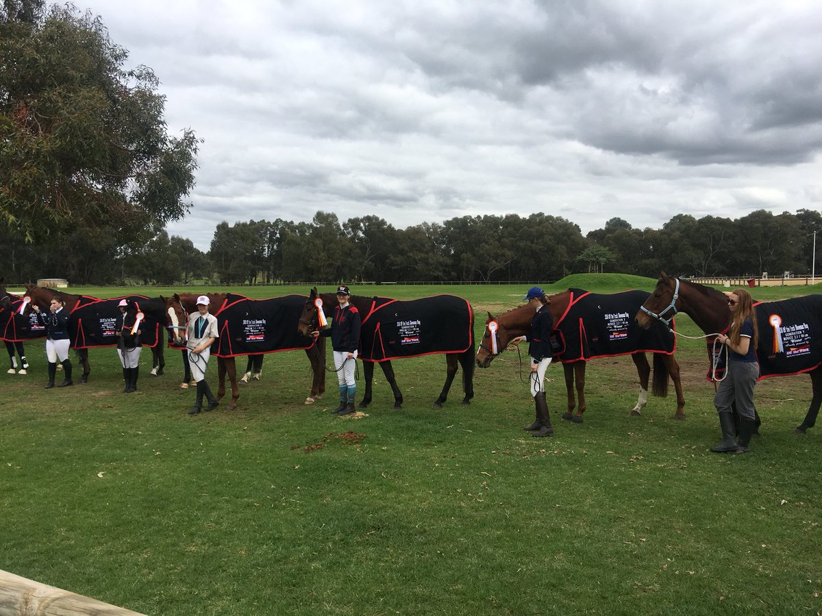 kate_bishop85's tweet photo. Where do all the #retiredracehorses go? I think I found many of them today at the #offthetrackwa Showman Day! Can’t wait to see the promo video for this - coming soon @OfficialRWWA https://t.co/r9v8oXcRMb