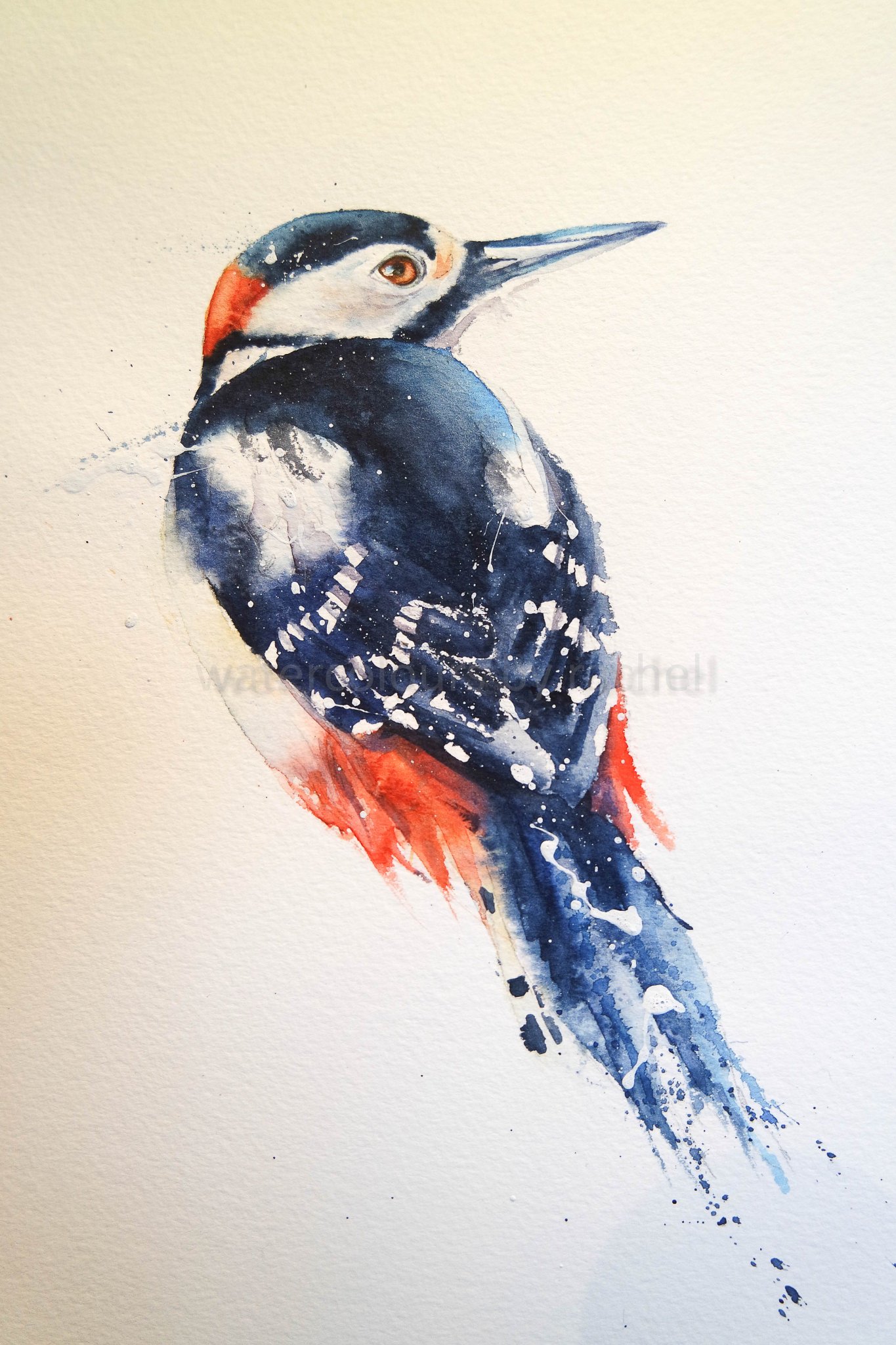Rachel toll on twitter if only if only the woodpecker sighs the bark on the tree was as 