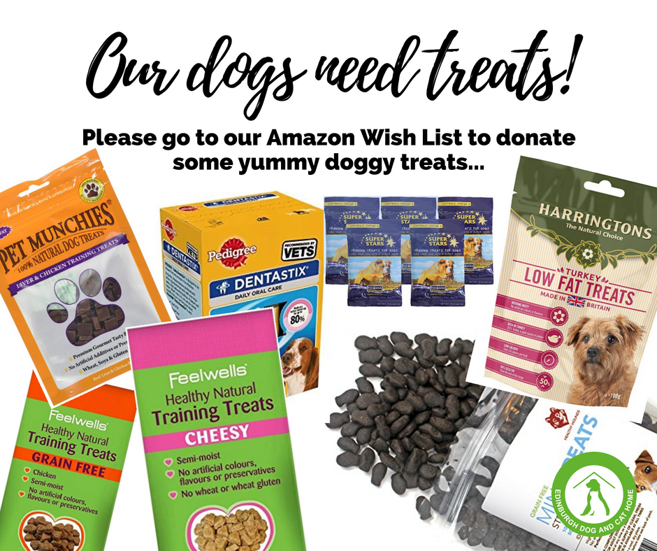 harringtons training treats