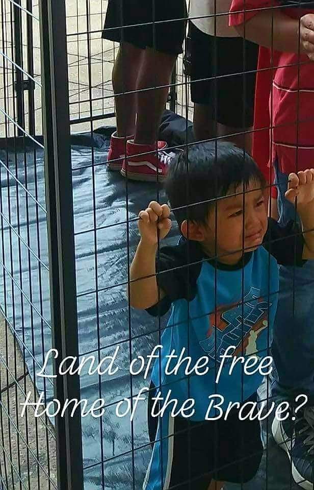 CarmenDeVito's tweet image. #NielsenResign you're a disgrace 
#WhereAreTheChildren #BabiesInCages
#TrumpConcentrationCamps  #ChildrenDruggedAndRaped #TeenagersBeaten 
#WomenSexuallyAssaulted 
#ReuniteEveryChild #ChildrenHaveRights #FamiliesBelongTogether #SessionsResign #AzarResign #TrumpResign #Resistance