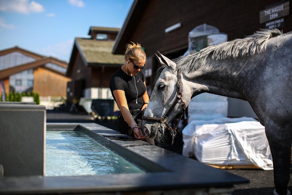 Get ready for another day of top showjumping #behindthescenes #breaktime #stables X-BIONIC #SummerTour #showjumping #placetobe