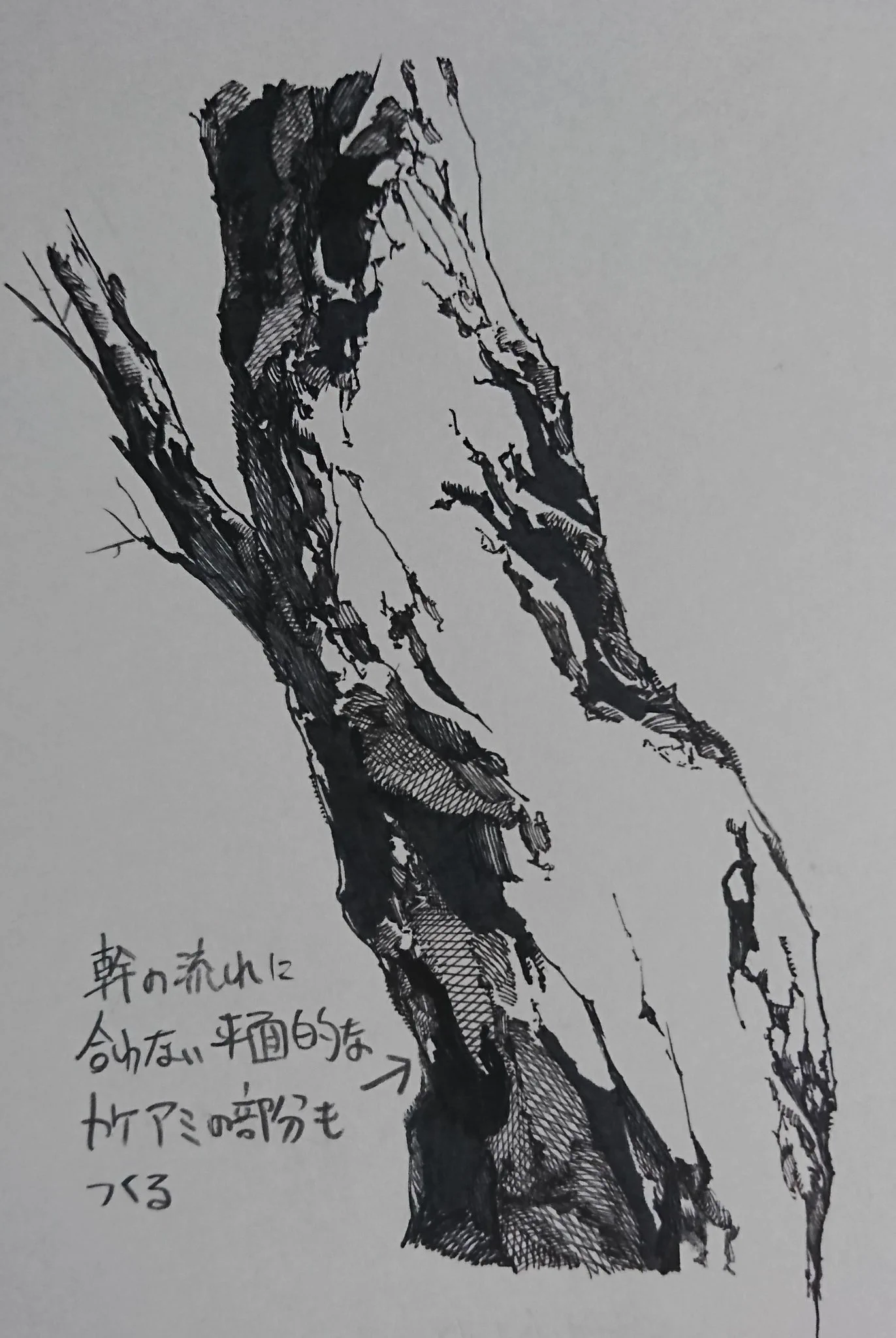 イラスターさん必見！黒っぽい木をモノクロで描くときのポイント！