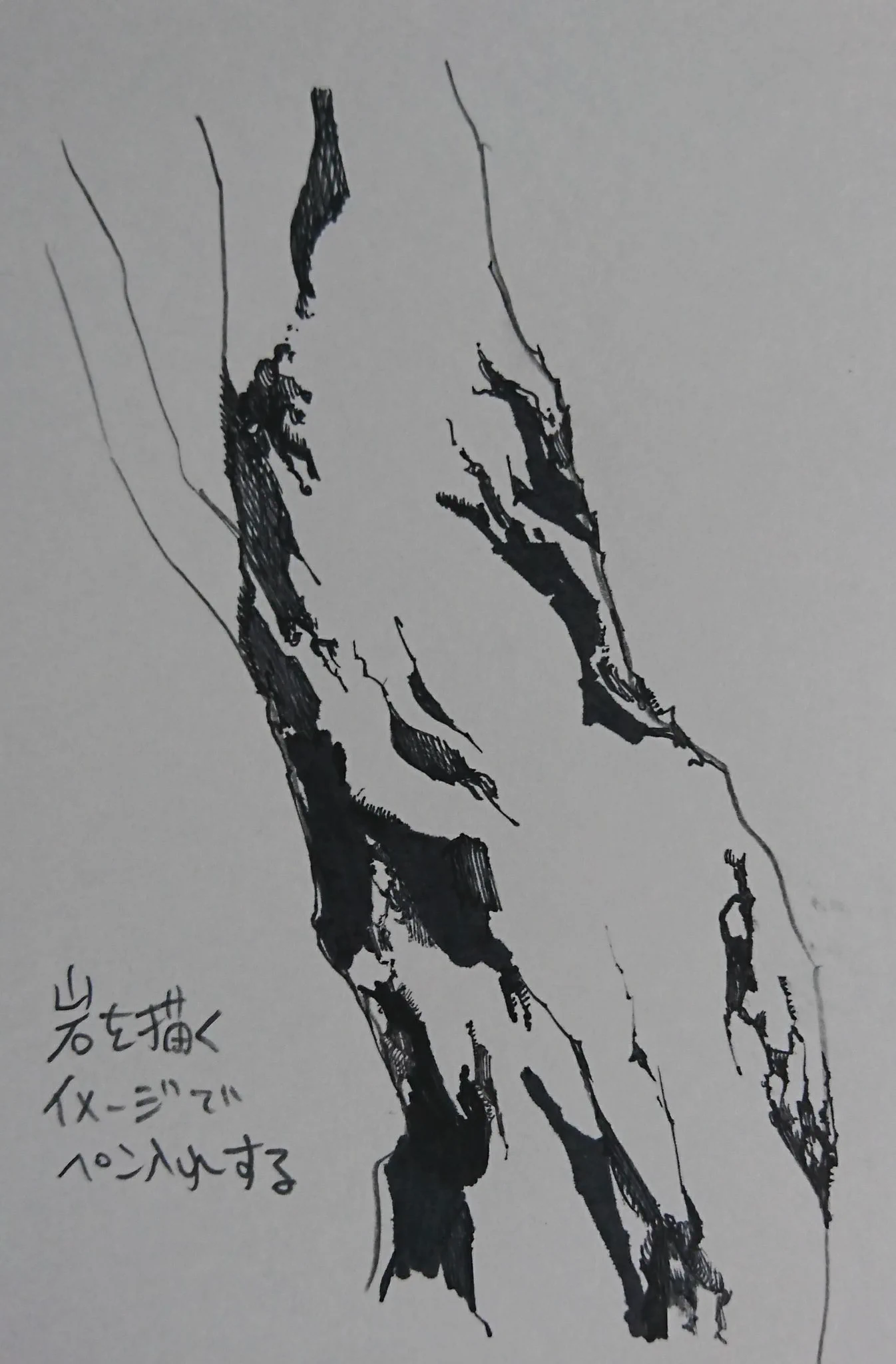 イラスターさん必見！黒っぽい木をモノクロで描くときのポイント！