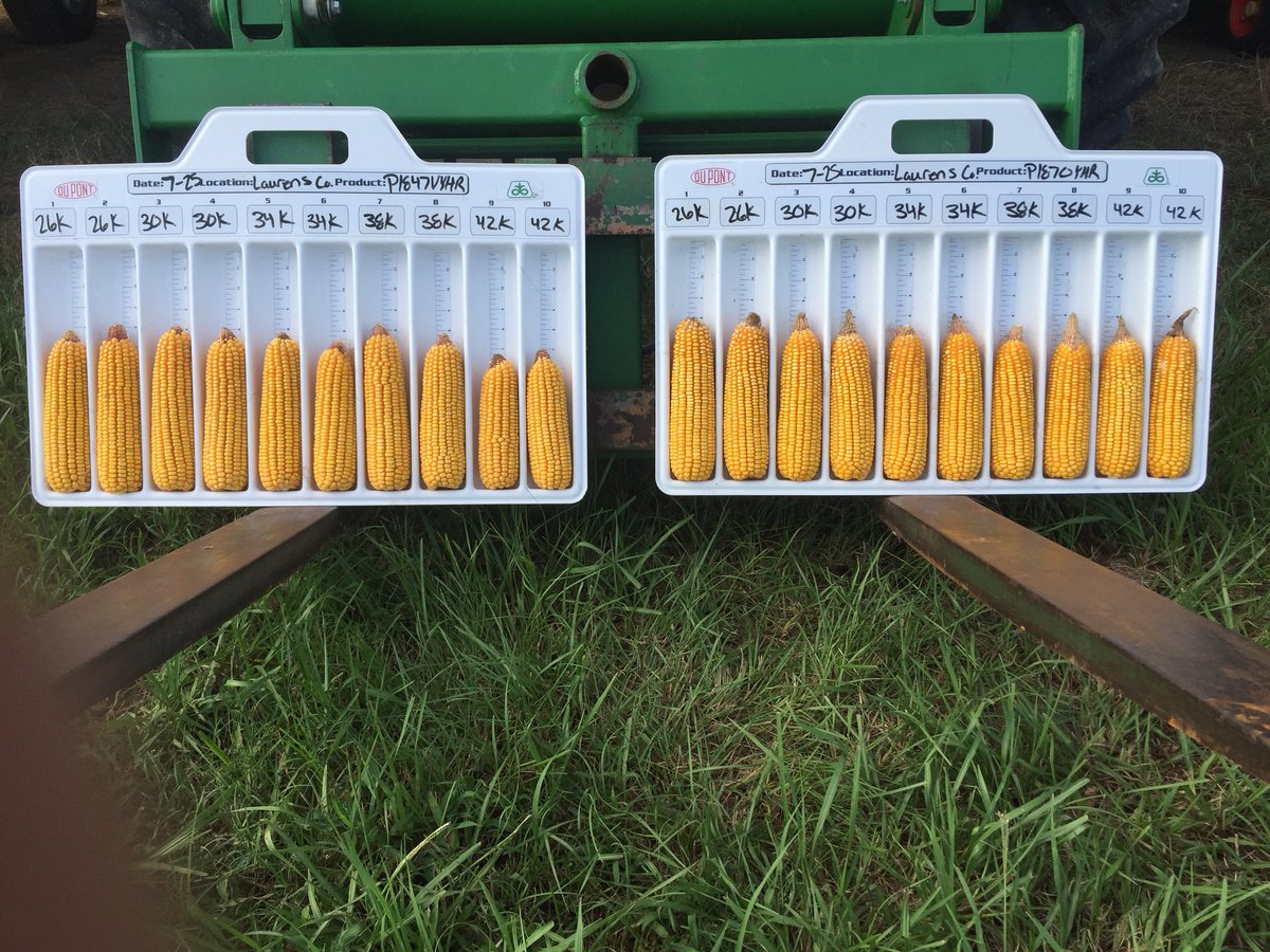 Plant population information for the newest Pioneer hybrids from your local agronomist will be  available soon