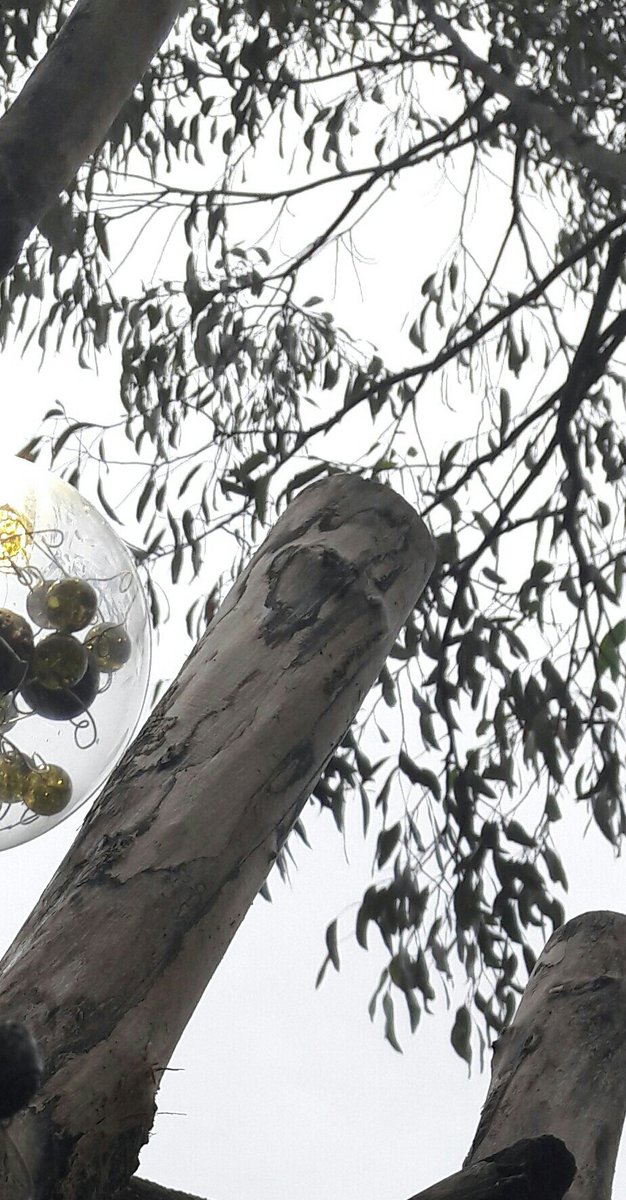 barry worthington tweet media