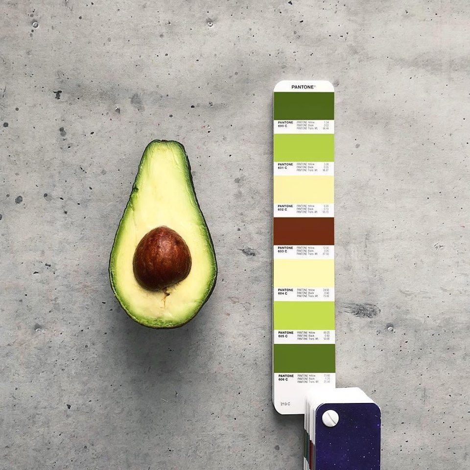ArtDistrictMx's tweet photo. ¿Que Pantone tiene un aguacate? El fotógrafo #TomLowe nos muestra. https://t.co/nj01XvfSf9