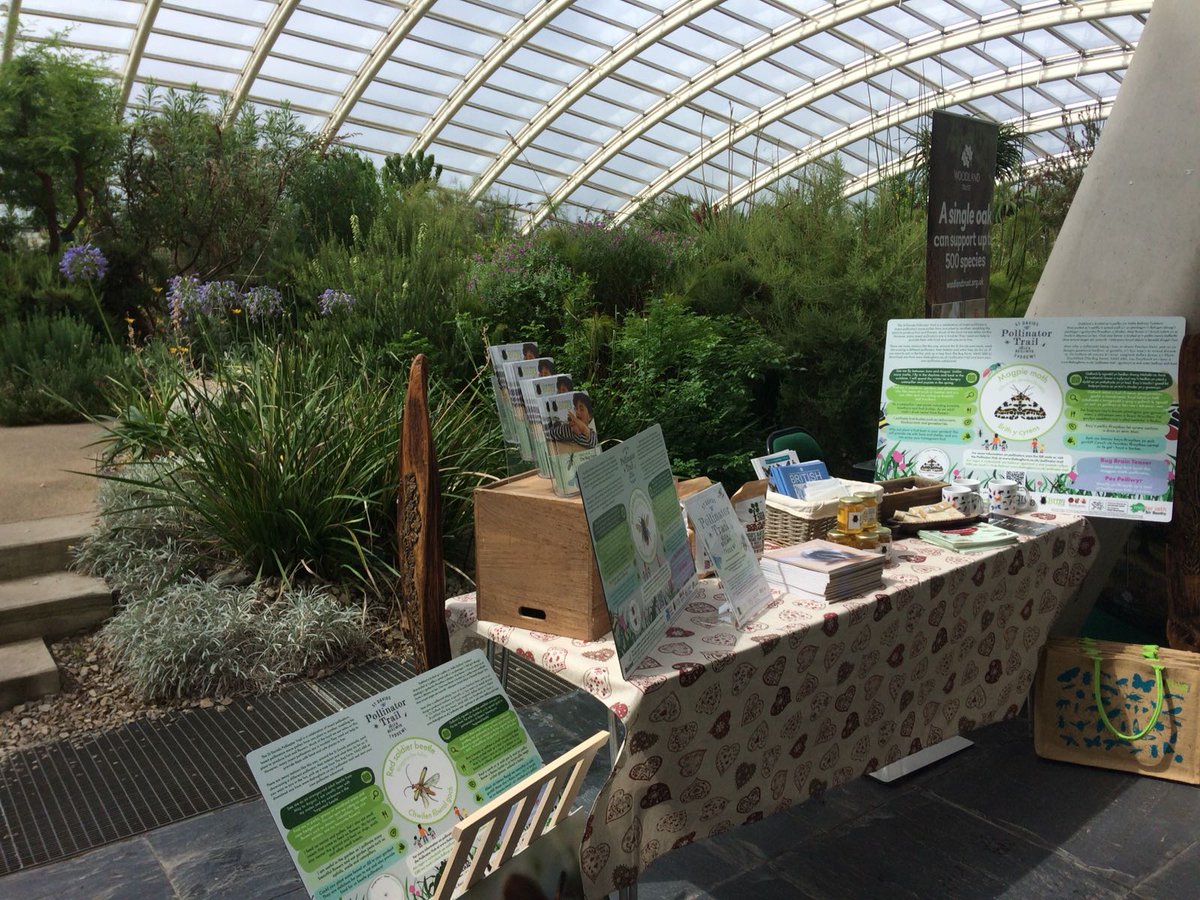 thebugfarmUK's tweet photo. Sarah S is at the the @walesbotanic Pollinator Festival with a stand all about the upcoming St Davids Pollinator Trail, which is launching on August 1st. #StDPT #pollinatortrail #pollinators #pollinatorfestival #stdavids #pembrokeshire #wales #findyourepic #gwladgwlad https://t.co/GPKjXOUgi4
