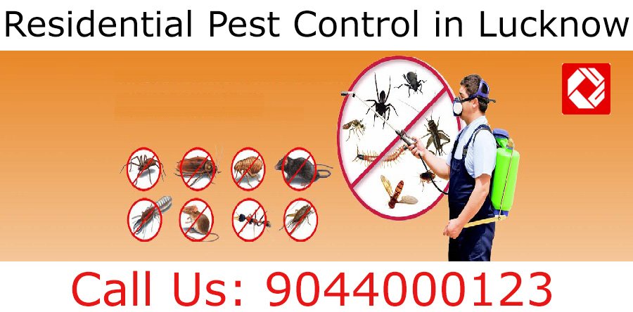 aapsworld_in's tweet photo. Aapsworld is a trusted name in the #Pest #control industry, We are providing #fumigation #services, #rodents control services, #termite control services and general #pest control services from many years at just 50 percent market rates. Read more at: https://t.co/h4pack7jT4 https://t.co/V5RExAqU7a