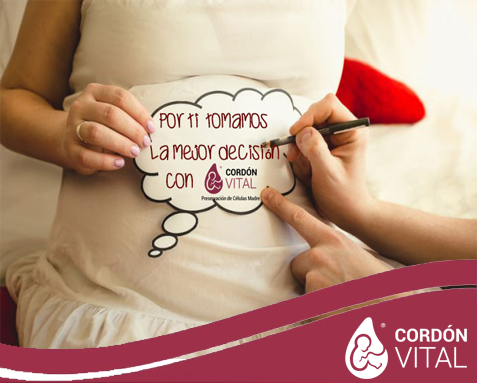 CordonVital's tweet photo. El uso de las #Células #Madre de la #Sangre de #Cordón #Umbilical de los bebés es una realidad....Confía en Cordón Vital, contáctanos : https://t.co/srfGd7Abis / 01800 123 2828 https://t.co/t8Vw6zBuf5