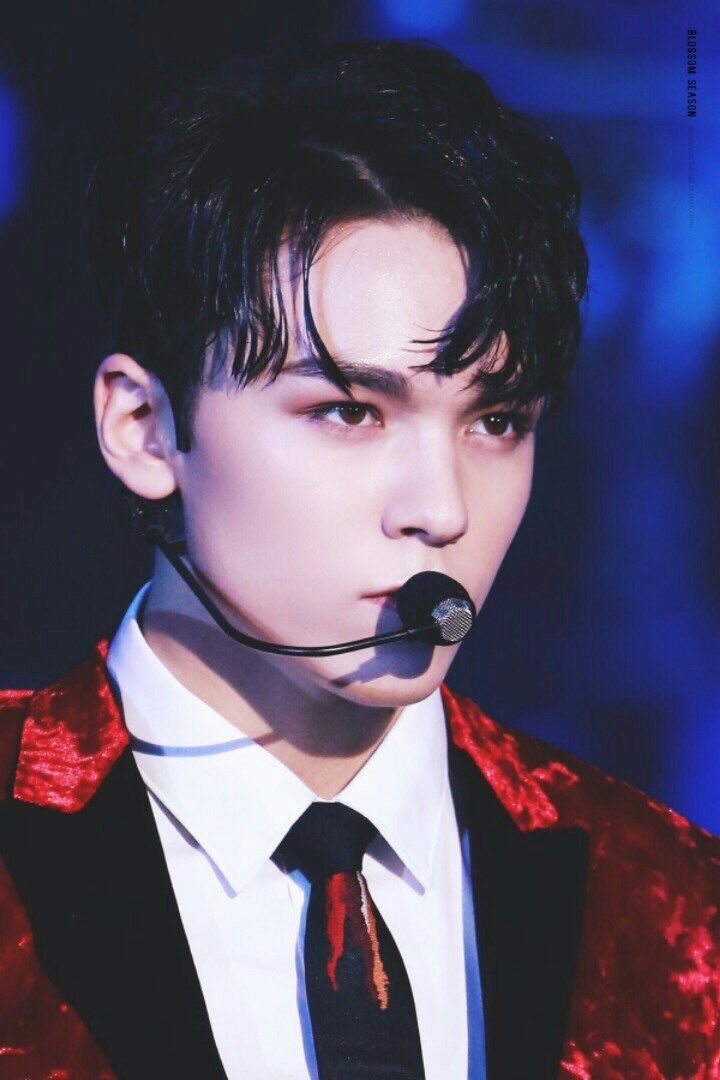 BLACKHAIR_GOOD's tweet photo. 8. 세븐틴 버논 https://t.co/sYWzArp7IH
