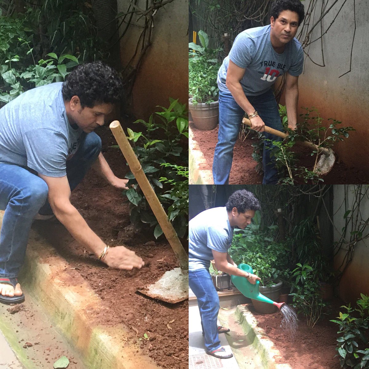 sachin_rt's tweet photo. Thank you, @KTRTRS, for nominating me for the green challenge #HarithaHaram. I accept the challenge and hope all of you do too. The key to a greener planet is in our hands. https://t.co/vMzifaGjlm
