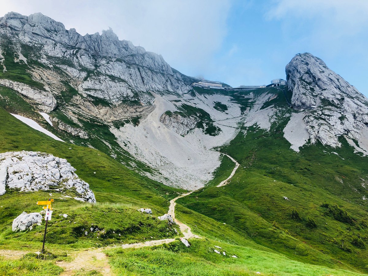 peakdate tweet picture