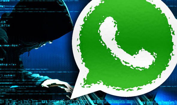 View image on Twitter