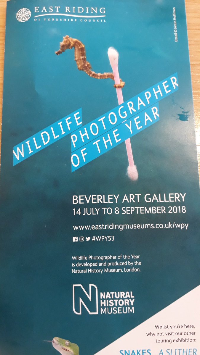 Just visited Wildlife photographer of the year exhibition in Beverley #stunningphotos