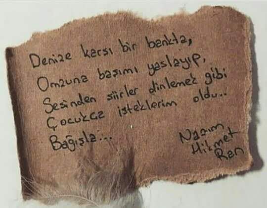Tlayalkan11's tweet photo. Bazı adamlar, incitmeden sevemezdi.. 
Kırardı, dökerdi, yangınlar bırakırdı arkalarında…
Bazı adamlarsa, tüm geçmişi unutturur, parmak uçlarından öperdi…”
__Cemal Süreya__ https://t.co/lwIf8FskBc